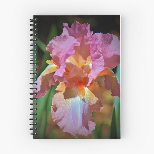 Item preview, Pink And Orange Iris designed and sold by Cynthia48.