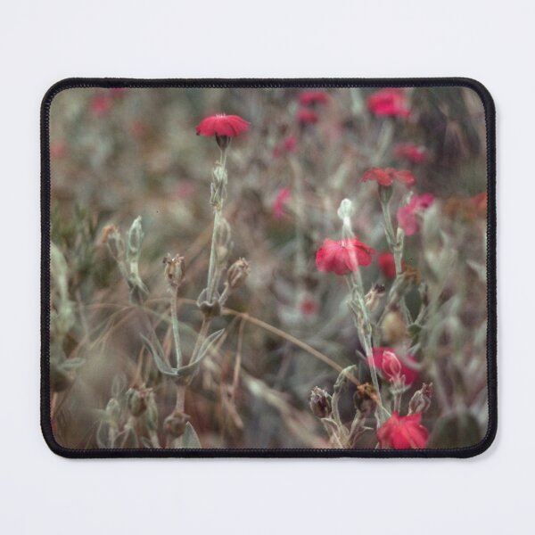 Item preview, Double Exposure: Rose Campion (Lychnis Coronaria) designed and sold by Melissa Holland.