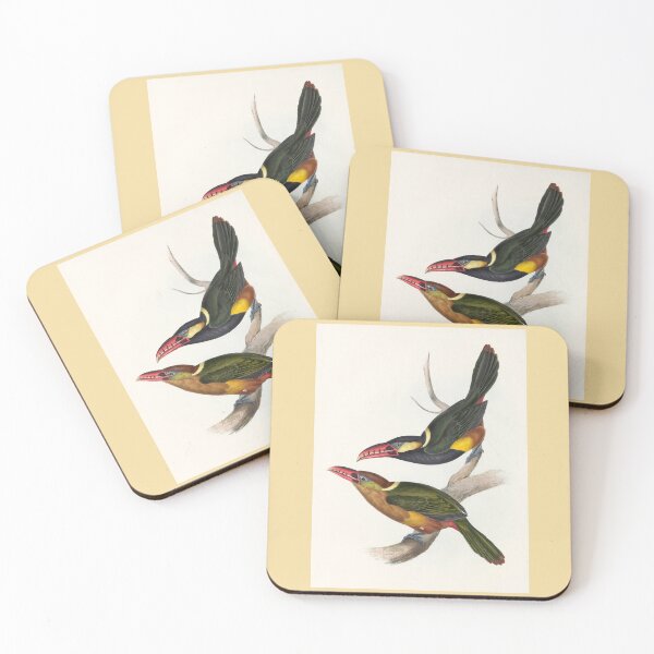 Item preview, John Gould: Tawny-Tufted Toucanet designed and sold by Tridentulus.