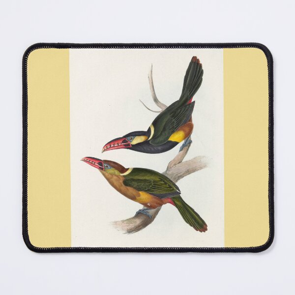 Item preview, John Gould: Tawny-Tufted Toucanet designed and sold by Tridentulus.