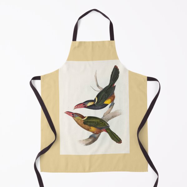 Item preview, John Gould: Tawny-Tufted Toucanet designed and sold by Tridentulus.