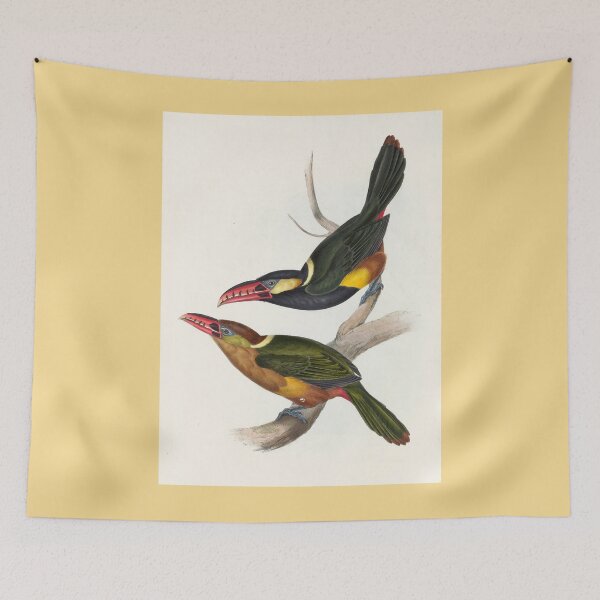 Item preview, John Gould: Tawny-Tufted Toucanet designed and sold by Tridentulus.