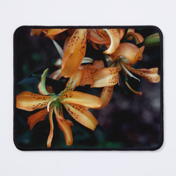 Item preview, Asiatic Lillium designed and sold by Melissa Holland.