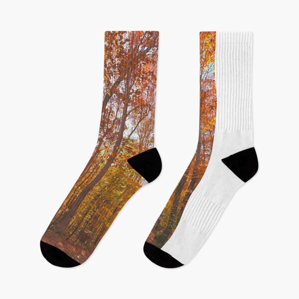 Item preview, Autumn Trees designed and sold by maya d photography.
