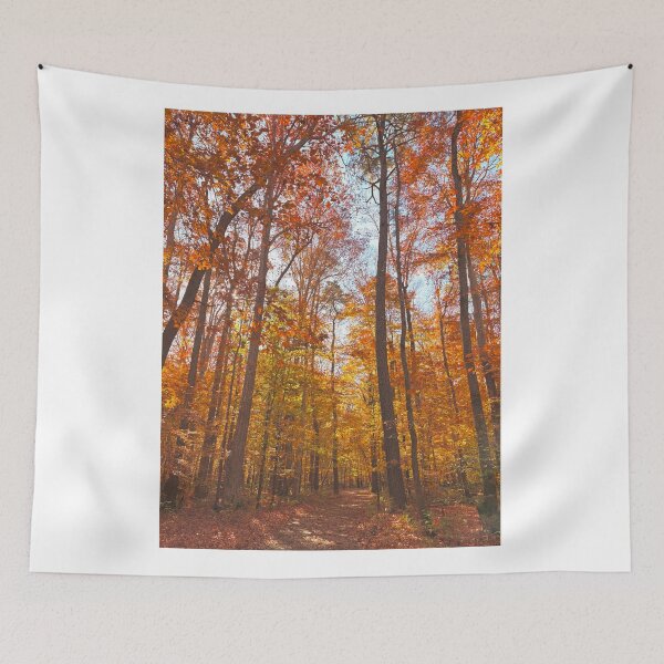 Item preview, Autumn Trees designed and sold by maya d photography.