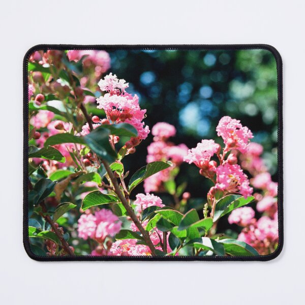 Item preview, Zuni Pink Crepe Myrtle designed and sold by Melissa Holland.