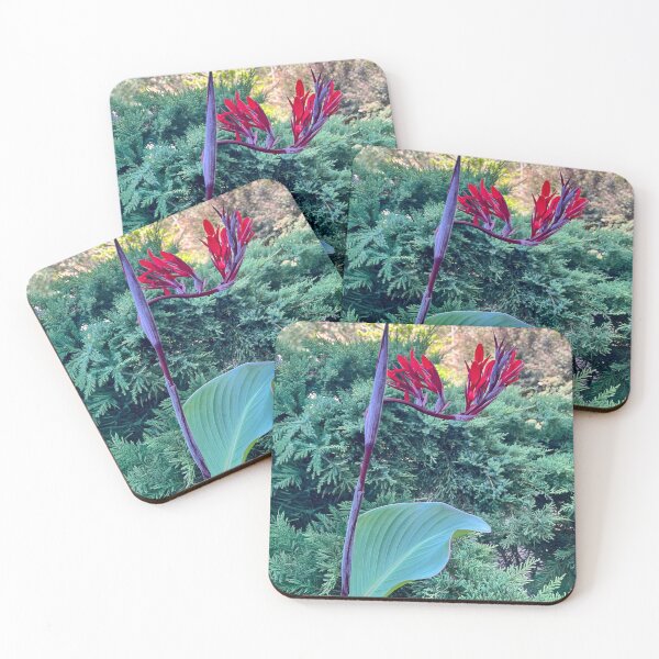 Item preview, Red Canna Lily Botanical Photography designed and sold by Be Captured by Brittany Emma.
