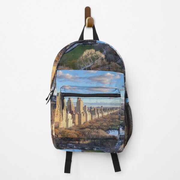 Item preview, New York Central Park designed and sold by Studio2660.