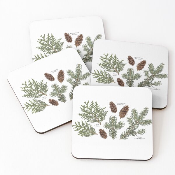 Item preview, Pine Cone and Evergreen Sprig Scan Art designed and sold by PacificNWGearCo.