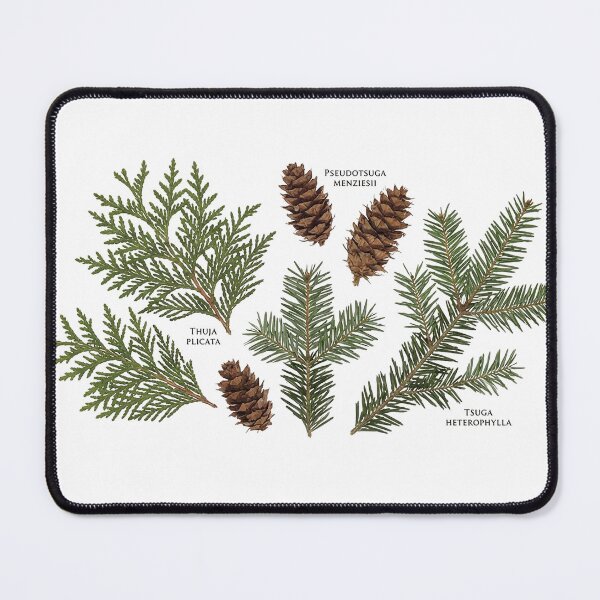Item preview, Pine Cone and Evergreen Sprig Scan Art designed and sold by PacificNWGearCo.