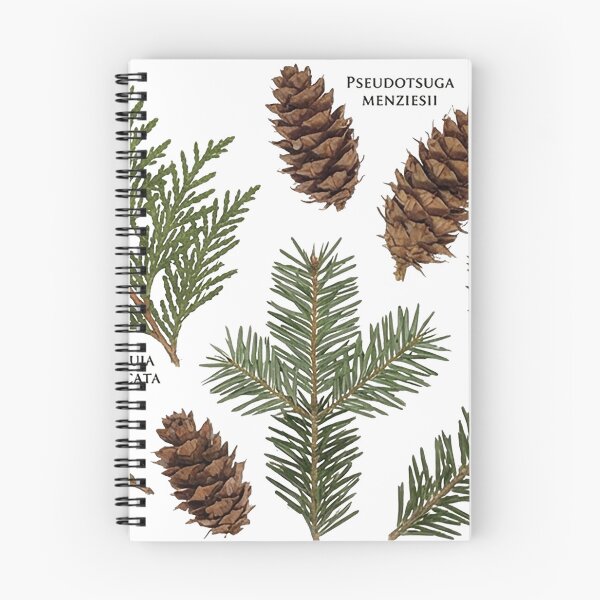 Item preview, Pine Cone and Evergreen Sprig Scan Art designed and sold by PacificNWGearCo.