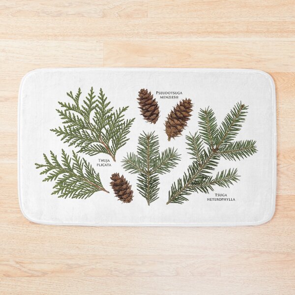 Item preview, Pine Cone and Evergreen Sprig Scan Art designed and sold by PacificNWGearCo.