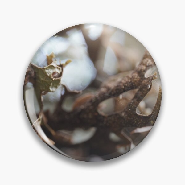 Item preview, Nature’s Threads: Spider Webs on a Wild Plant designed and sold by trinest.