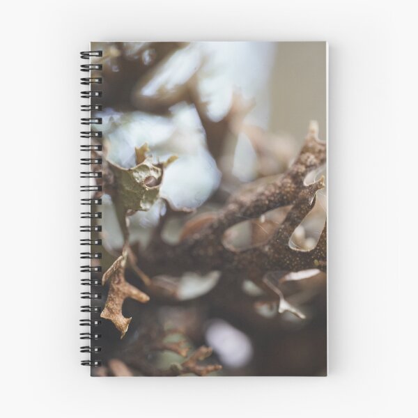 Item preview, Nature’s Threads: Spider Webs on a Wild Plant designed and sold by trinest.