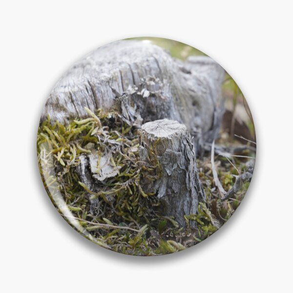 Item preview, Echoes of the Forest: Weathered Tree Stump designed and sold by trinest.