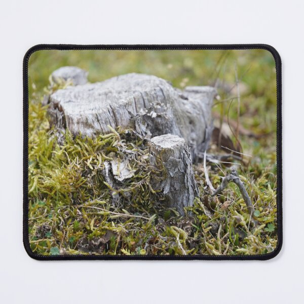 Item preview, Echoes of the Forest: Weathered Tree Stump designed and sold by trinest.