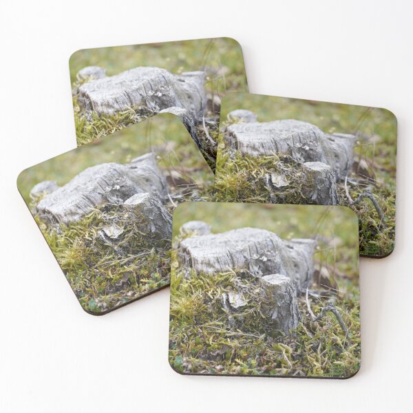 Item preview, Echoes of the Forest: Weathered Tree Stump designed and sold by trinest.