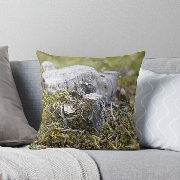 Item preview, Echoes of the Forest: Weathered Tree Stump designed and sold by trinest.
