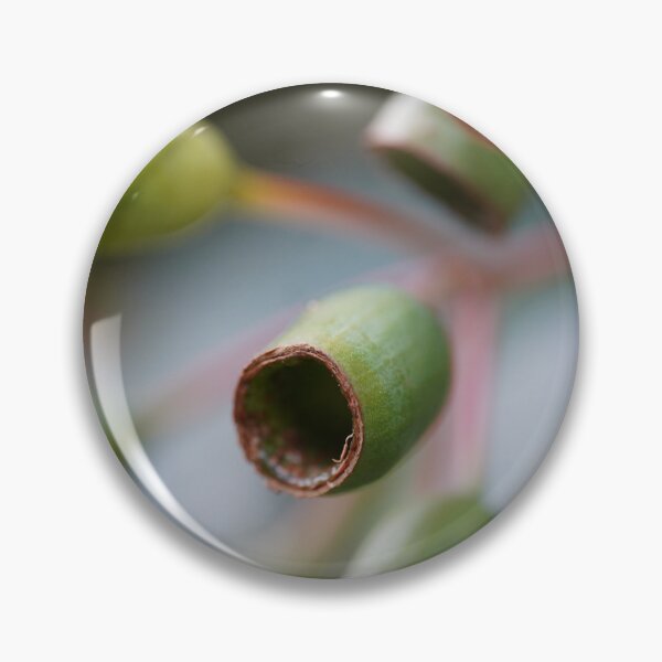 Item preview, Bushland Details: Eucalyptus Gumnuts designed and sold by trinest.