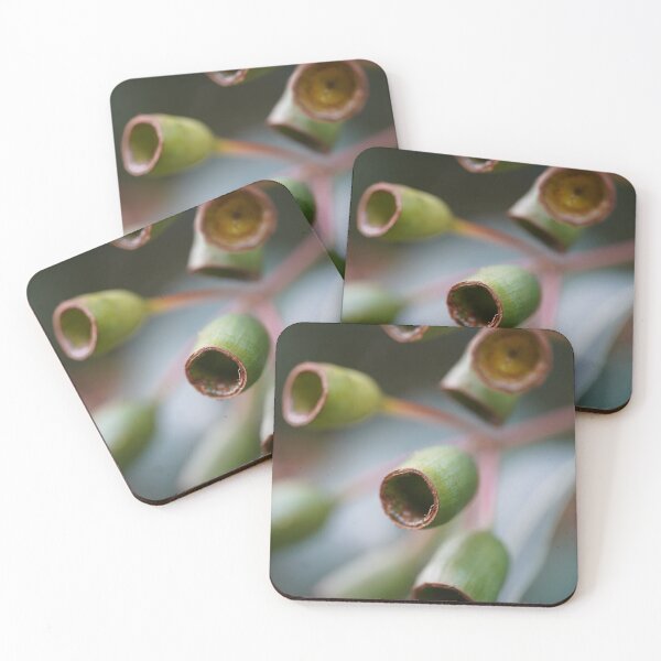 Item preview, Bushland Details: Eucalyptus Gumnuts designed and sold by trinest.