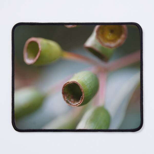 Item preview, Bushland Details: Eucalyptus Gumnuts designed and sold by trinest.