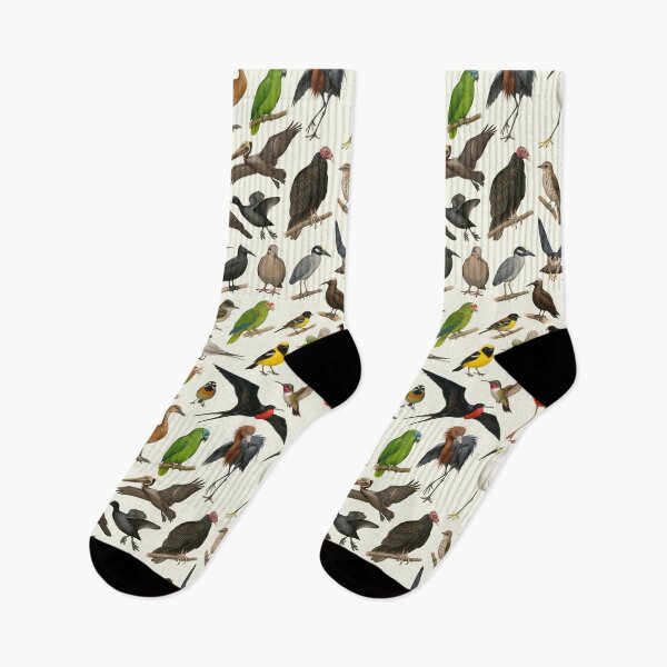 Item preview, Birds of The Caribbean Retro Animal Wildlife Chart designed and sold by kakarikihill.