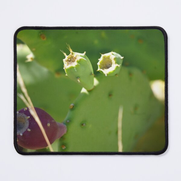 Item preview, Desert Resilience: Prickly Pear Cactus designed and sold by trinest.
