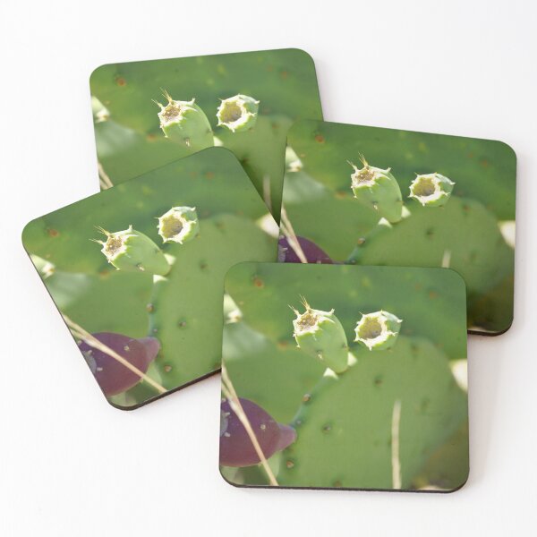 Item preview, Desert Resilience: Prickly Pear Cactus designed and sold by trinest.