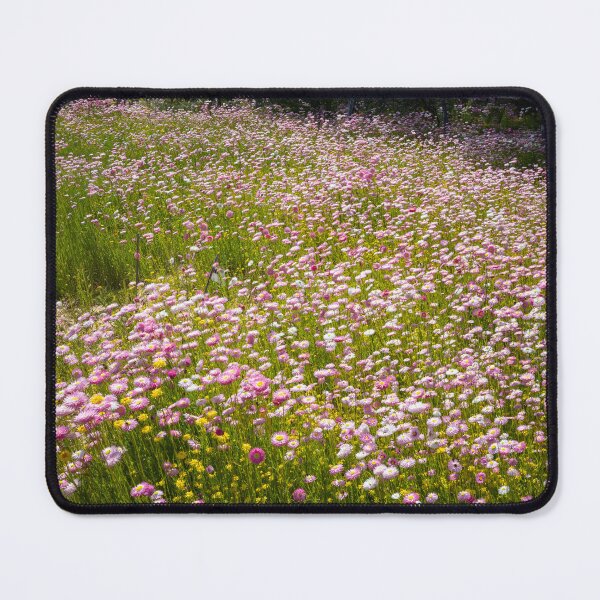 Item preview, Spring Everlastings in Soft Pink Light designed and sold by Michael van der Hoorn.