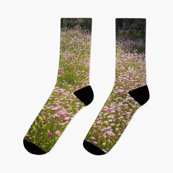 Item preview, Spring Everlastings in Soft Pink Light designed and sold by Michael van der Hoorn.