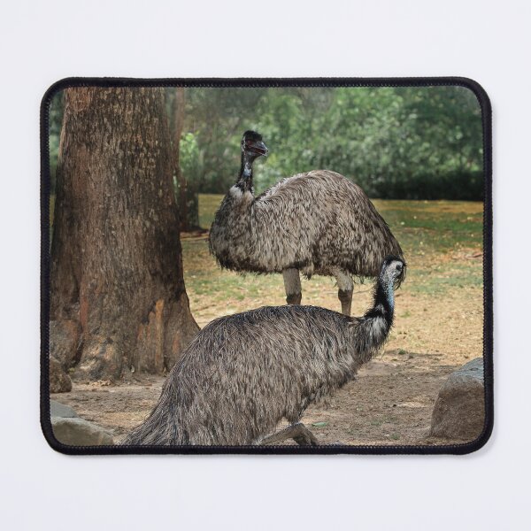 Item preview, Emus Resting in the Australian Bush designed and sold by Michael van der Hoorn.