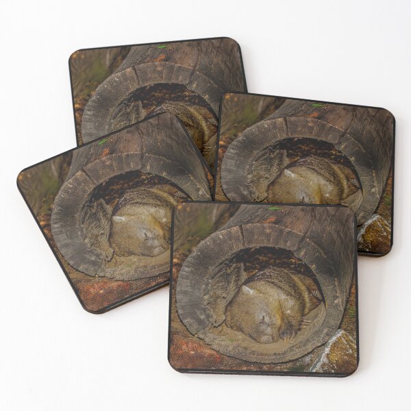 Item preview, Wombat Resting Inside a Hollow Log designed and sold by Michael van der Hoorn.
