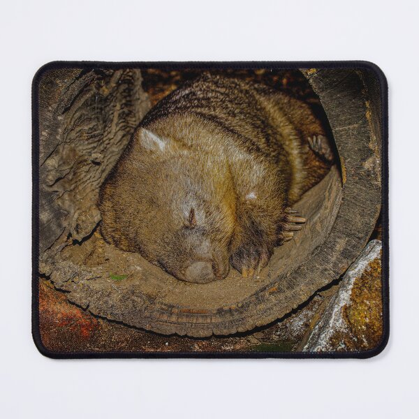 Item preview, Wombat Resting Inside a Hollow Log designed and sold by Michael van der Hoorn.