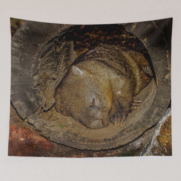 Item preview, Wombat Resting Inside a Hollow Log designed and sold by Michael van der Hoorn.