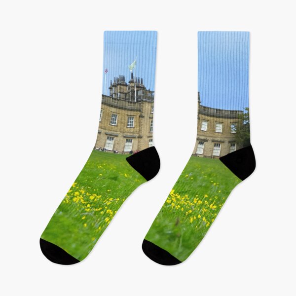 Item preview, Cannon Hall Barnsley designed and sold by Alisonchambers2.