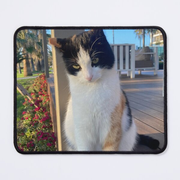 Item preview, Turkish Lucky Cat designed and sold by AtelierLab.