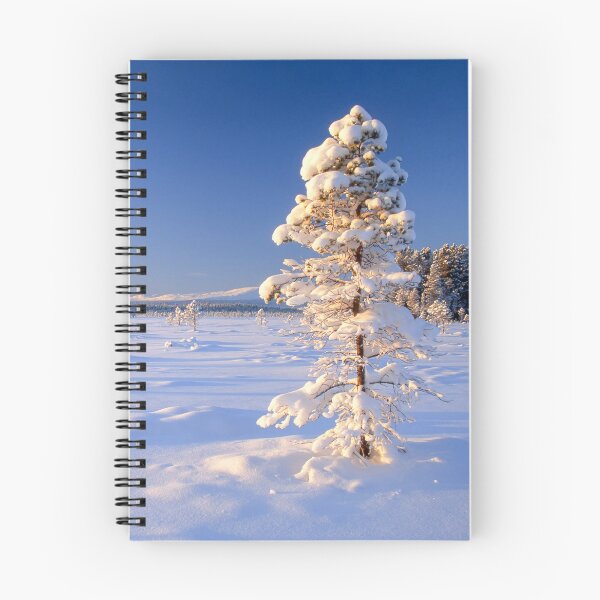 Item preview, Lone snow-covered pine tree stands in a vast, sunlit winter landscape designed and sold by Sasas Design.