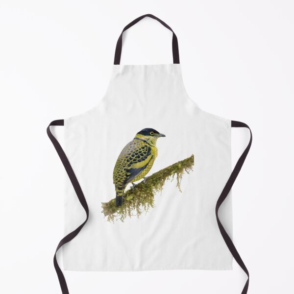 Item preview, Scaled Fruiteater (Ampelioides tschudii) designed and sold by HOMETOWN86.