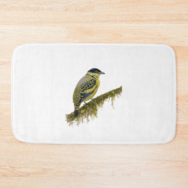 Item preview, Scaled Fruiteater (Ampelioides tschudii) designed and sold by HOMETOWN86.