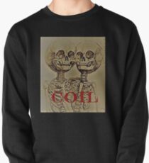 Coil Twins Pullover