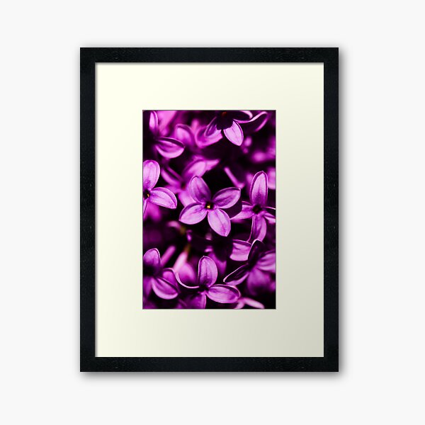 Item preview, It's a Lilac Though designed and sold by BigMfBear.