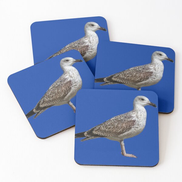 Item preview, Close-up of a juvenile yellow-legged gull designed and sold by Alan-David.