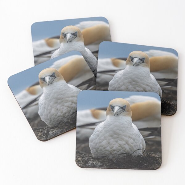 Item preview, Nesting designed and sold by Jan Fijolek.