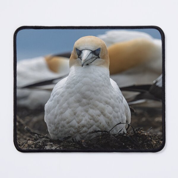Item preview, Nesting designed and sold by Jan Fijolek.