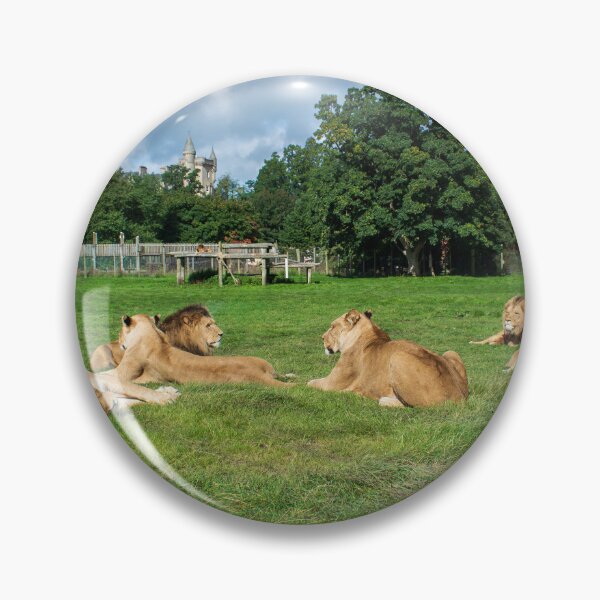 Item preview, Pride of Lions designed and sold by RJW Images.