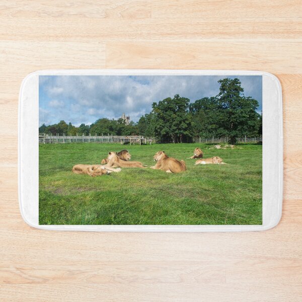 Item preview, Pride of Lions designed and sold by RJW Images.