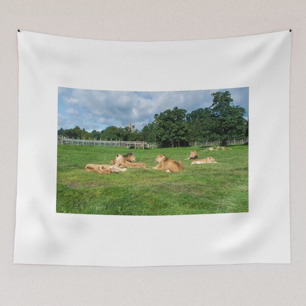 Item preview, Pride of Lions designed and sold by RJW Images.