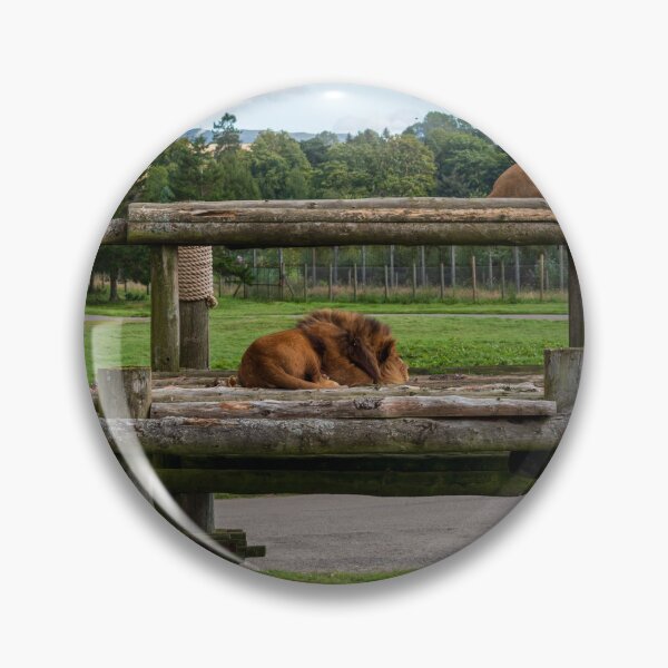 Item preview, Lion and lioness designed and sold by RJW Images.