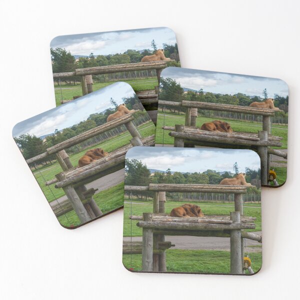 Item preview, Lion and lioness designed and sold by RJW Images.