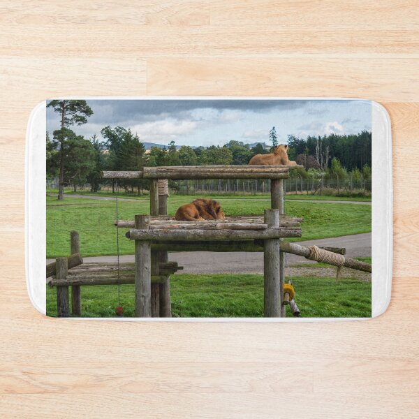 Item preview, Lion and lioness designed and sold by RJW Images.